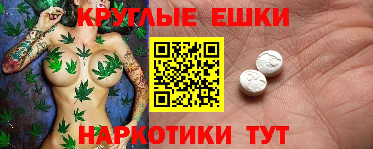 Ecstasy Philipp Plein  Вход с VPN  Саранск 